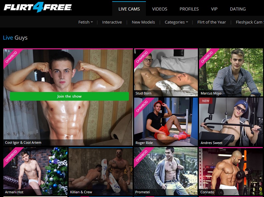 Amazing Gay Webcams on Flirt4Free Website